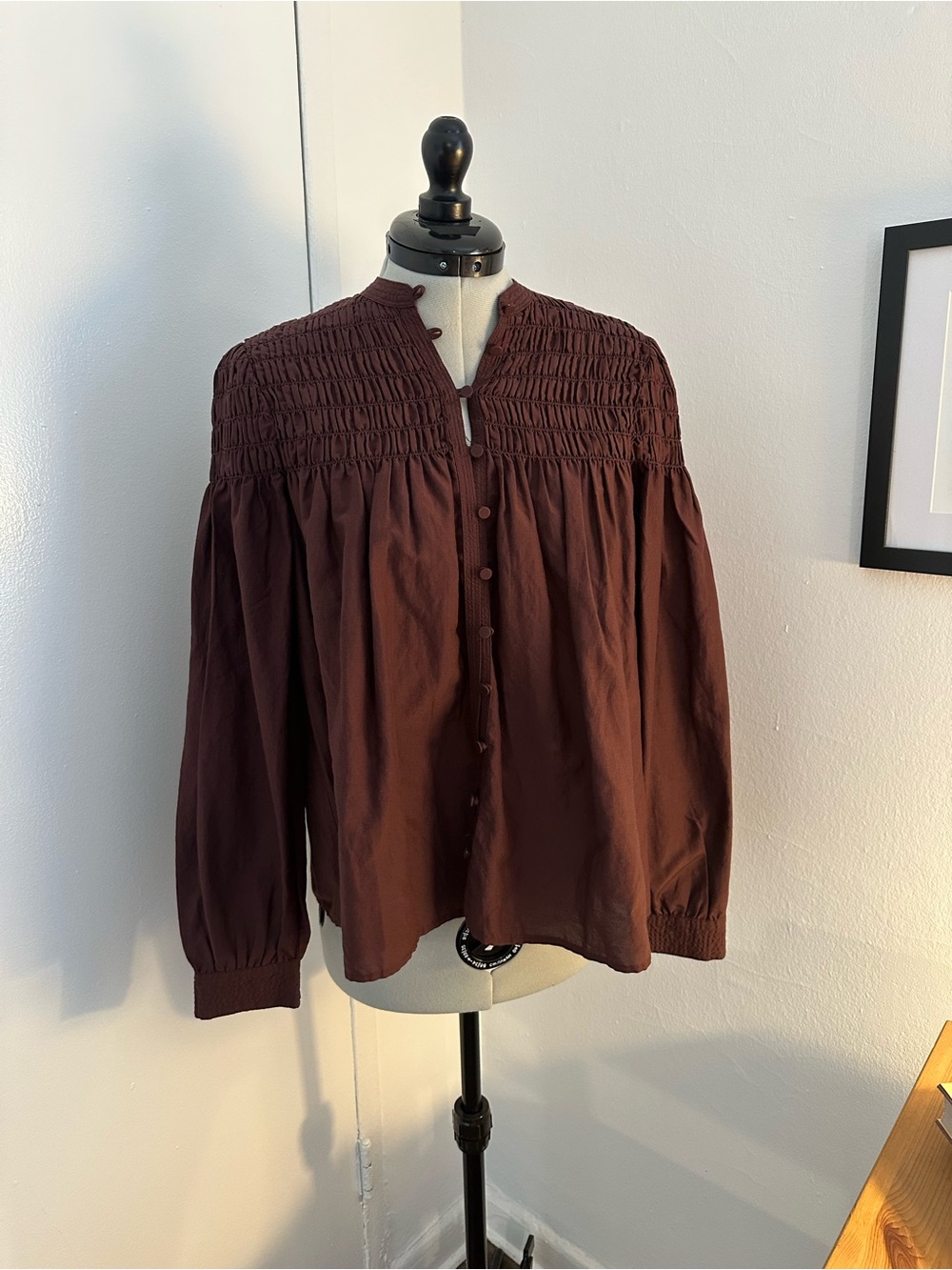 Smocked Madewell Peasant Blouse in Reddish Brown